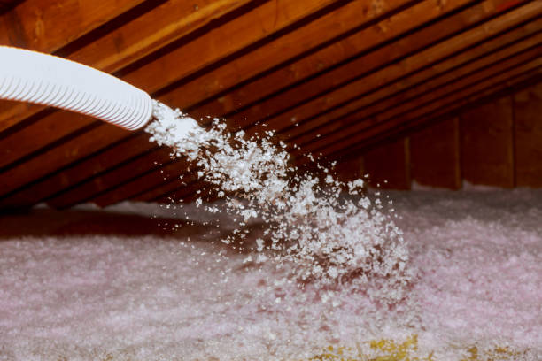 Best Residential Insulation Services  in , NY