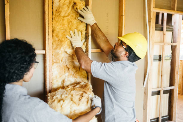 Best Insulation Contractor Near Me  in , NY