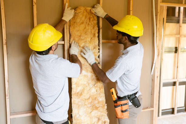 Best Attic Insulation Installation  in , NY