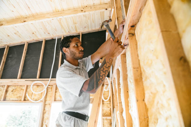 Best Insulation Replacement Services  in , NY